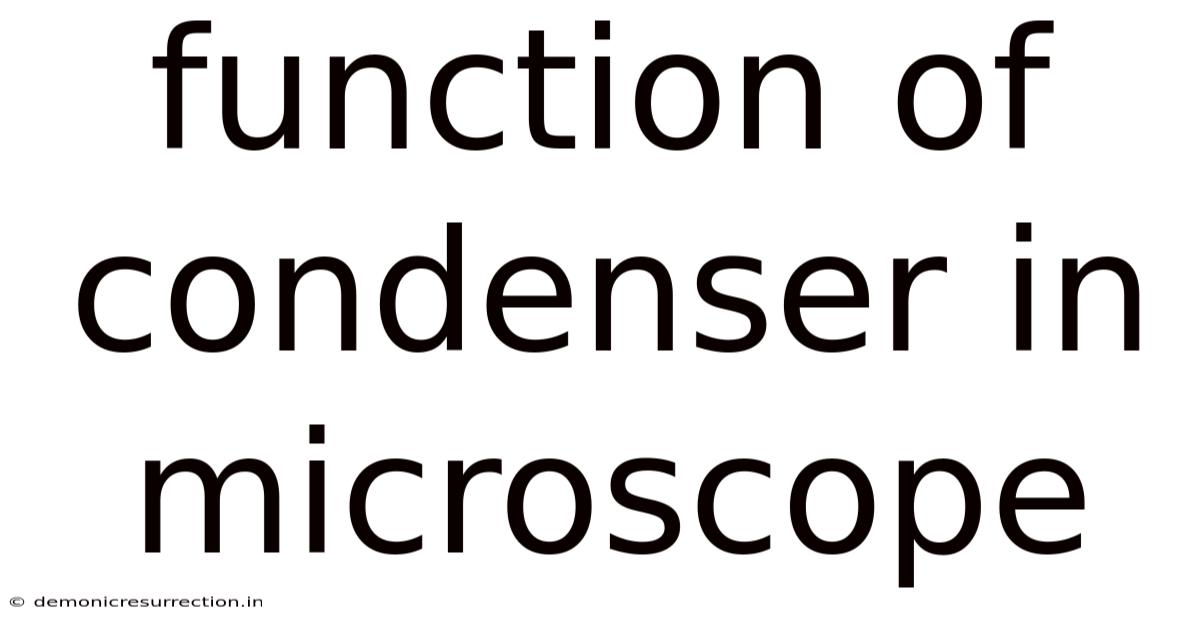 Function Of Condenser In Microscope