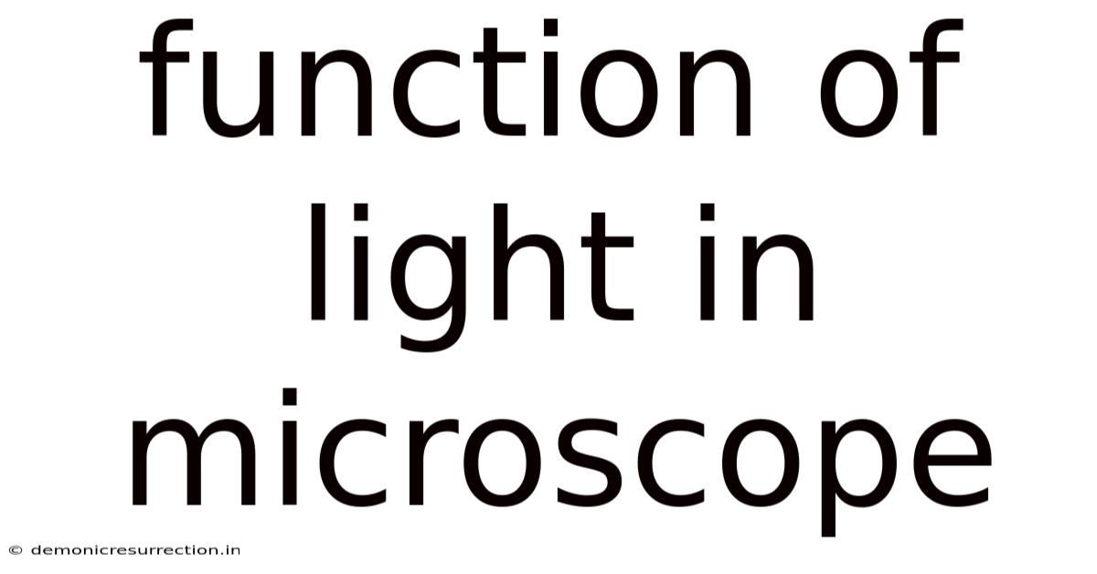 Function Of Light In Microscope