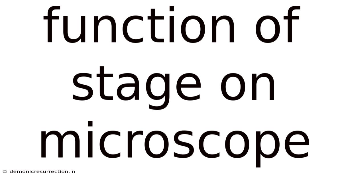 Function Of Stage On Microscope