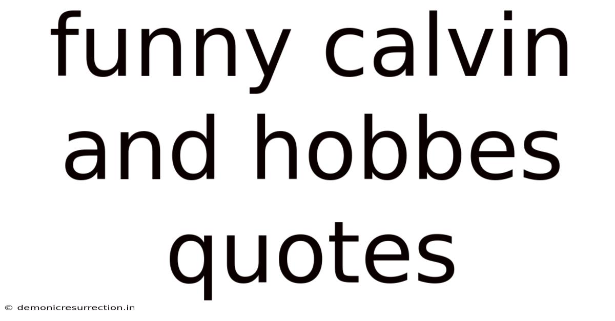 Funny Calvin And Hobbes Quotes