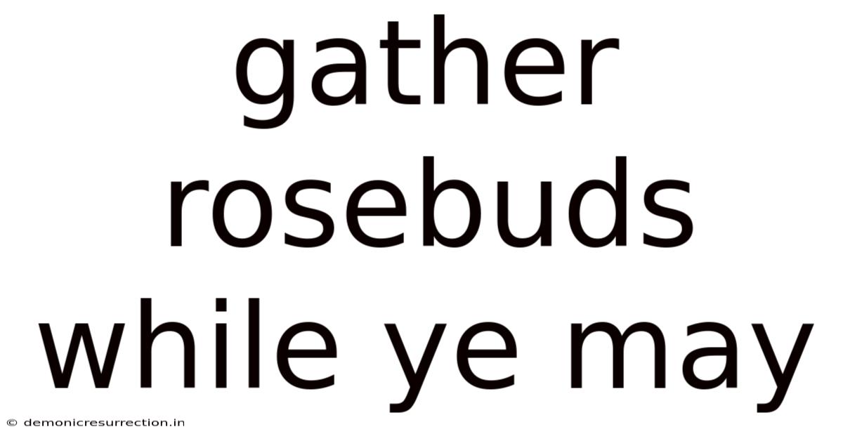 Gather Rosebuds While Ye May