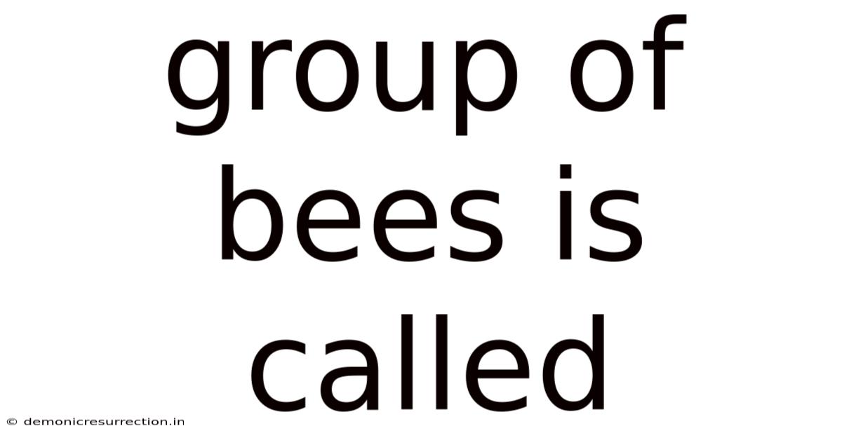 Group Of Bees Is Called