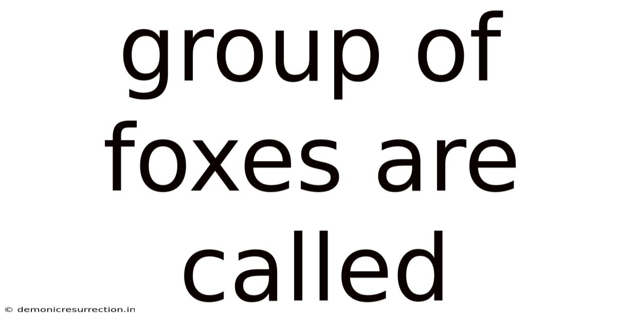 Group Of Foxes Are Called