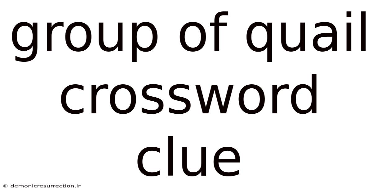 Group Of Quail Crossword Clue