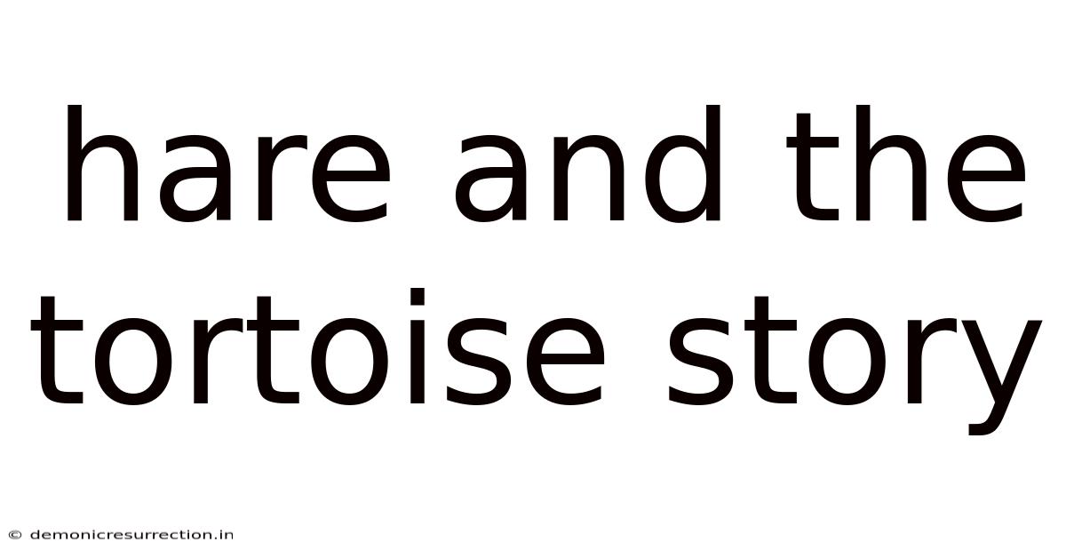 Hare And The Tortoise Story