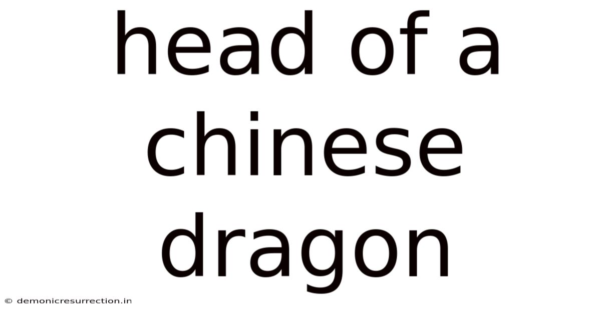 Head Of A Chinese Dragon