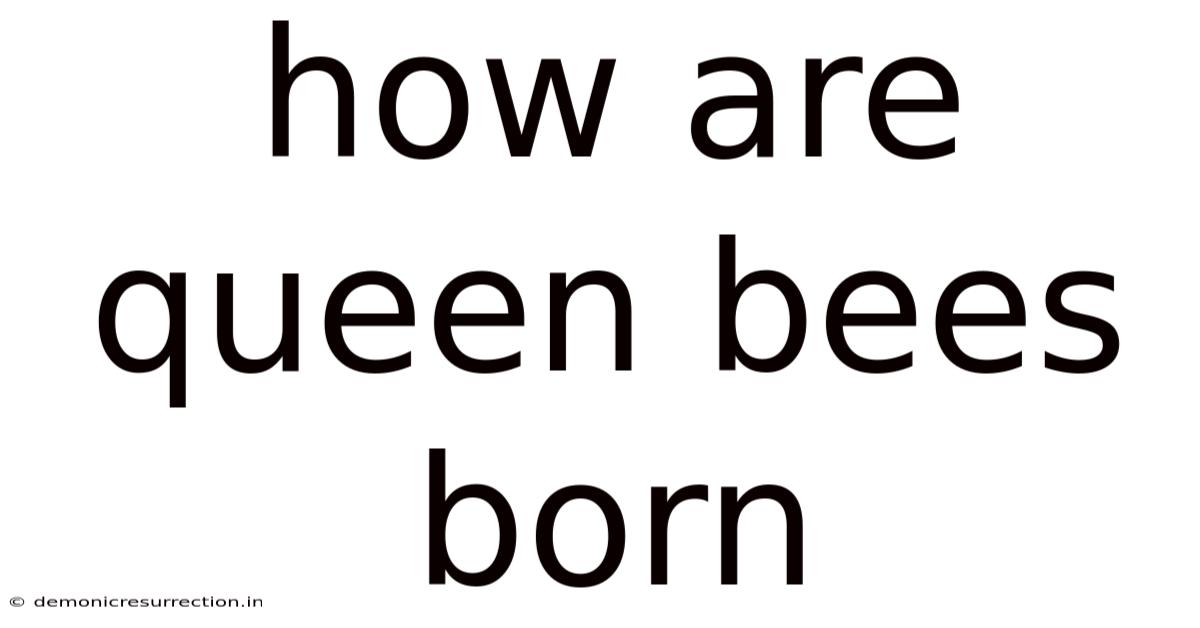 How Are Queen Bees Born