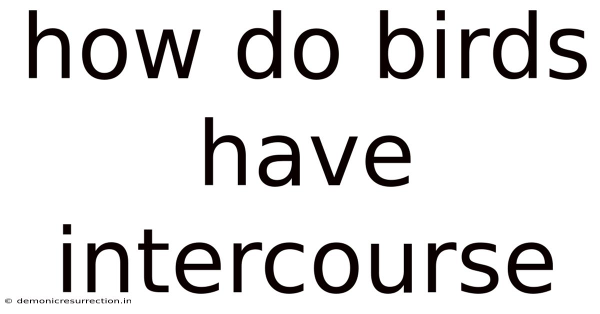 How Do Birds Have Intercourse