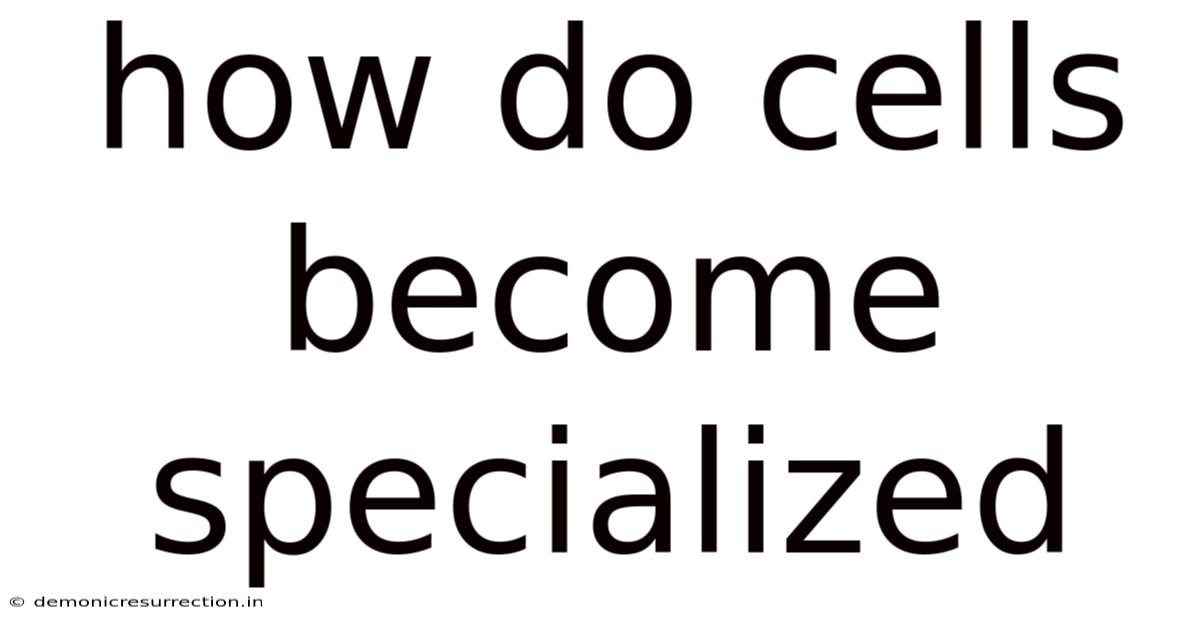 How Do Cells Become Specialized