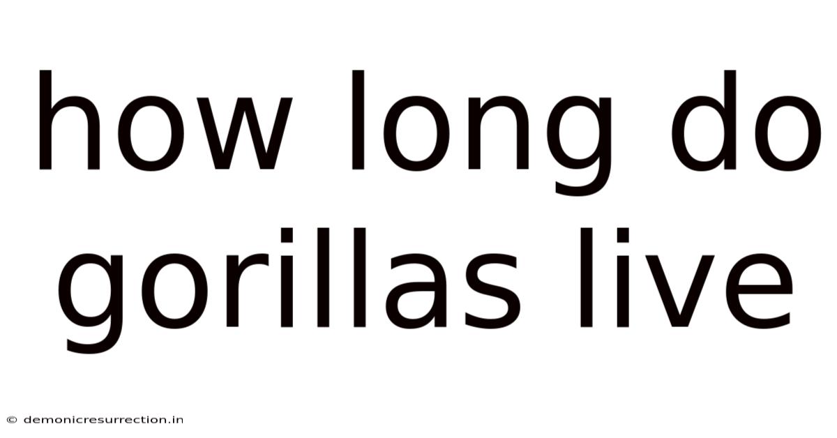 How Long Do Gorillas Live