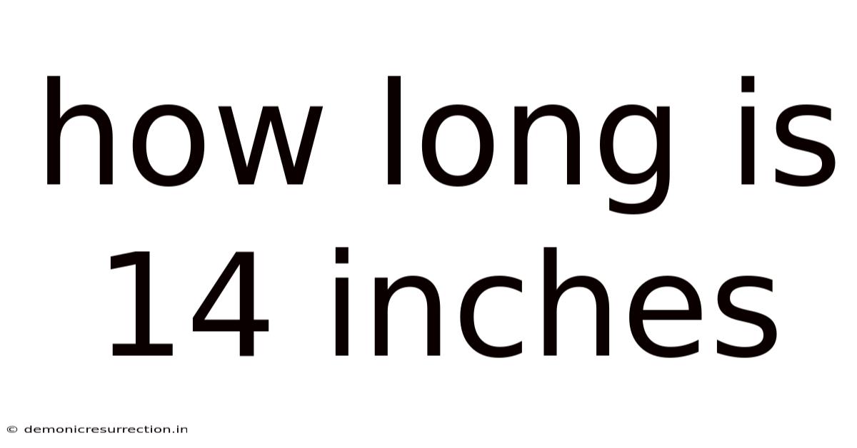 How Long Is 14 Inches