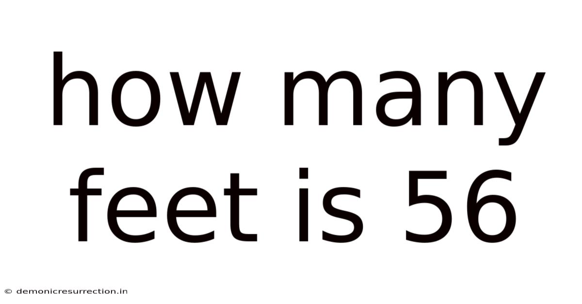 How Many Feet Is 56