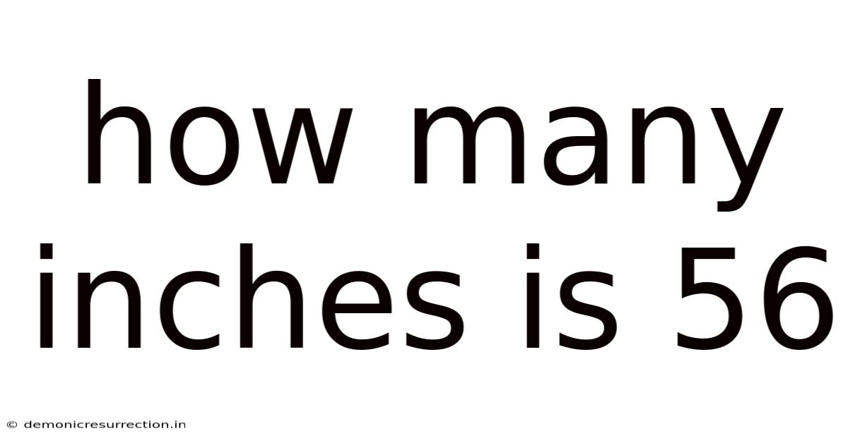 How Many Inches Is 56