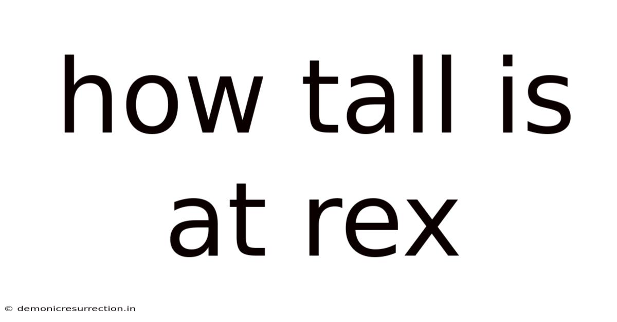 How Tall Is At Rex