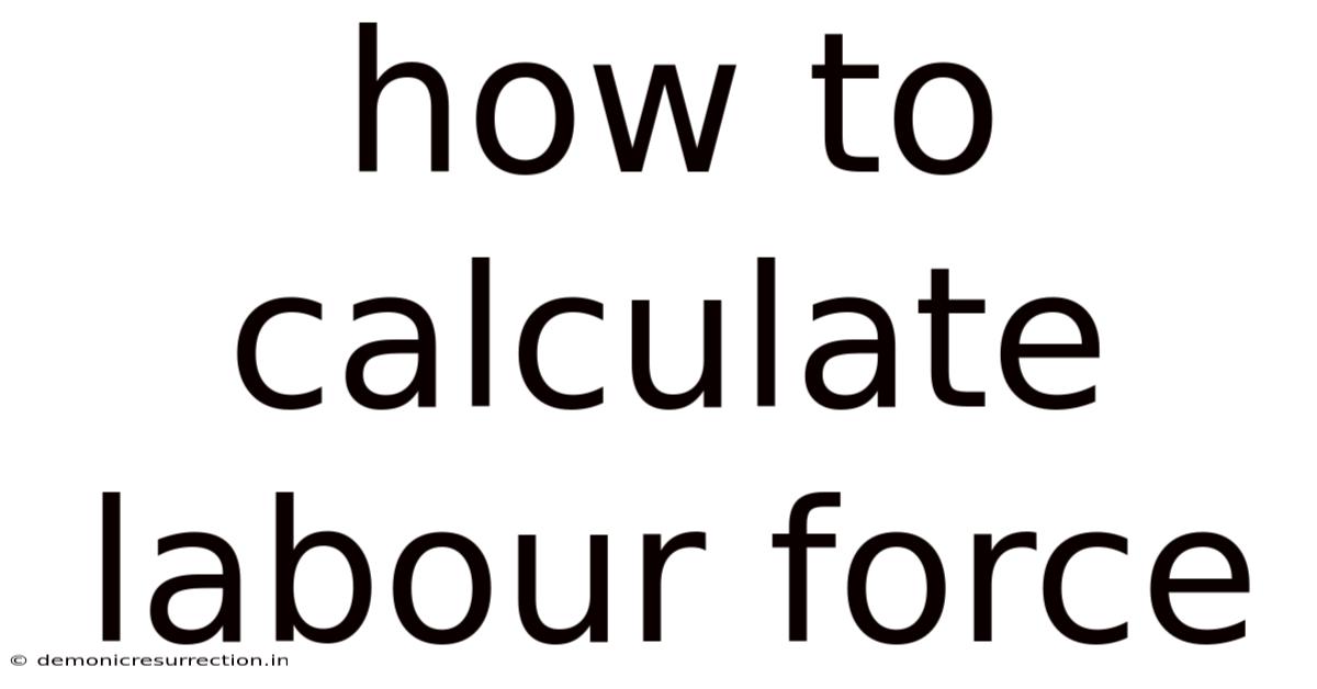 How To Calculate Labour Force