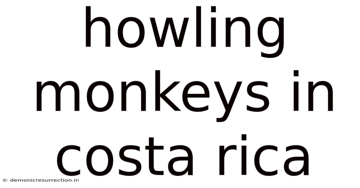 Howling Monkeys In Costa Rica