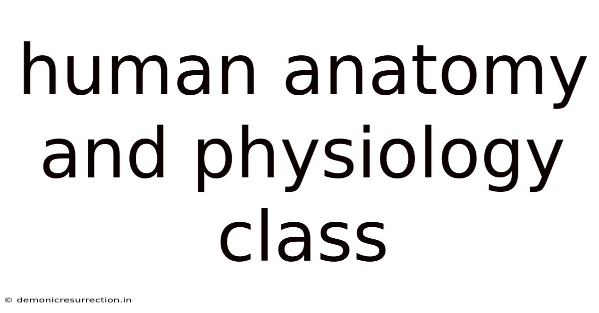 Human Anatomy And Physiology Class