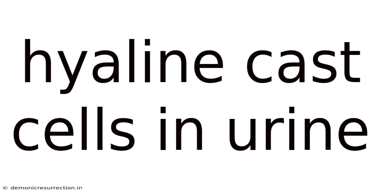 Hyaline Cast Cells In Urine