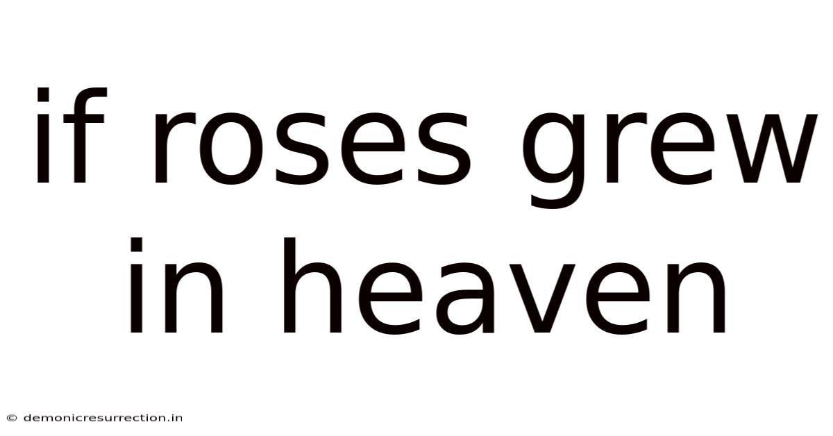 If Roses Grew In Heaven