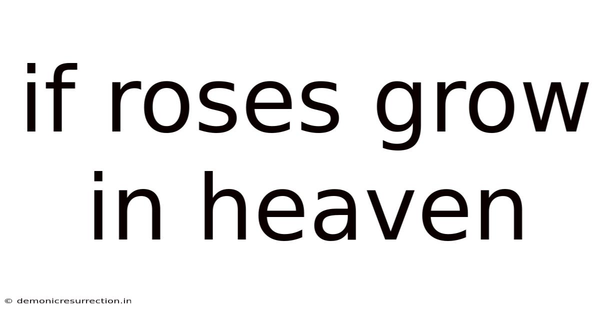 If Roses Grow In Heaven