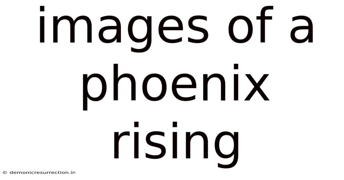 Images Of A Phoenix Rising