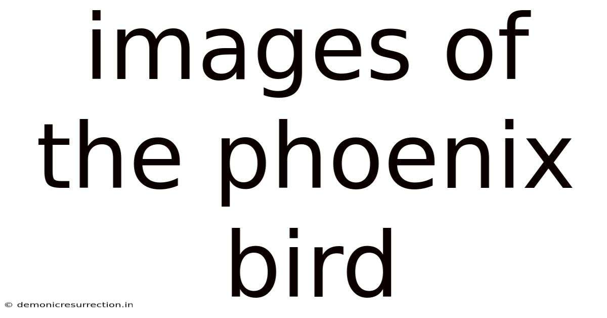 Images Of The Phoenix Bird
