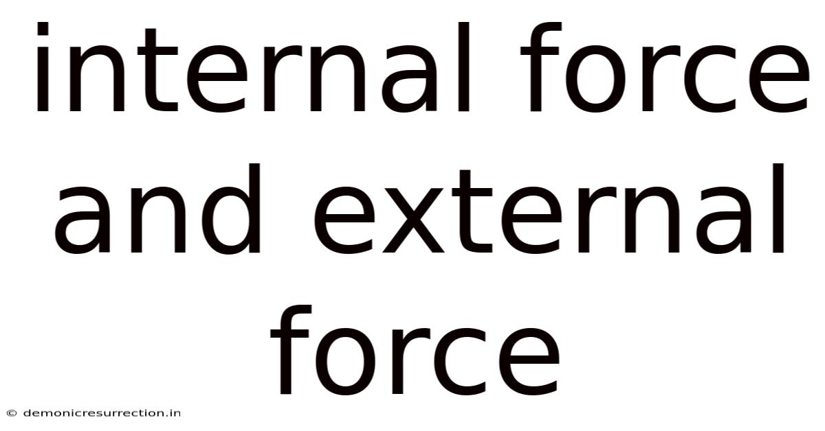 Internal Force And External Force