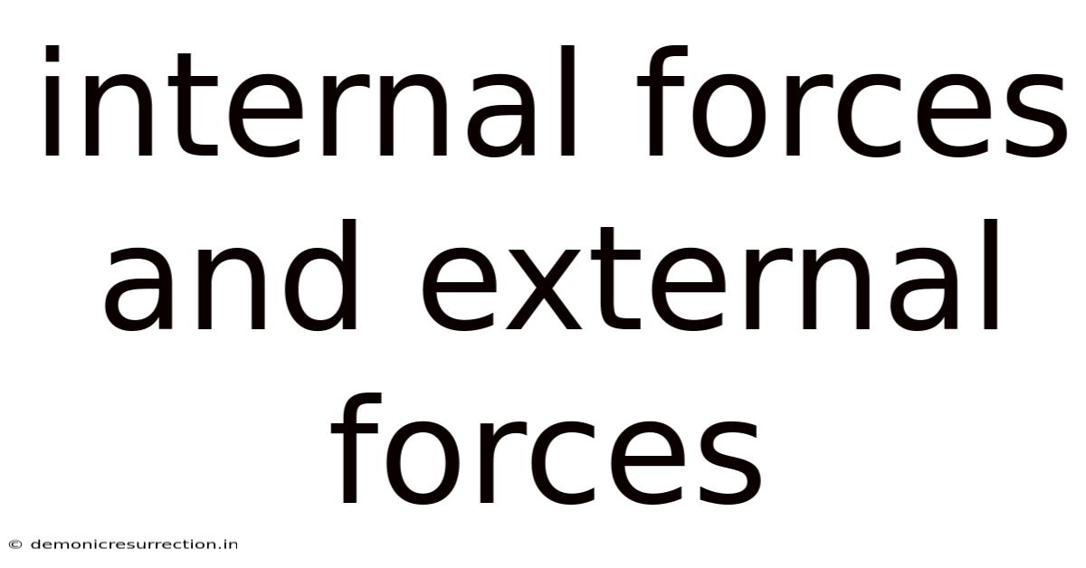 Internal Forces And External Forces