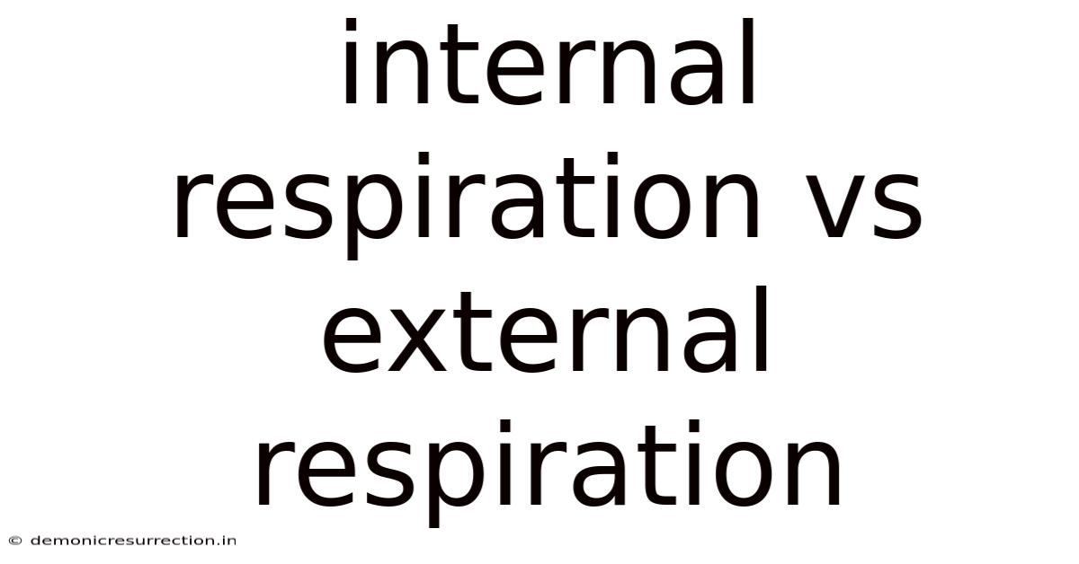 Internal Respiration Vs External Respiration