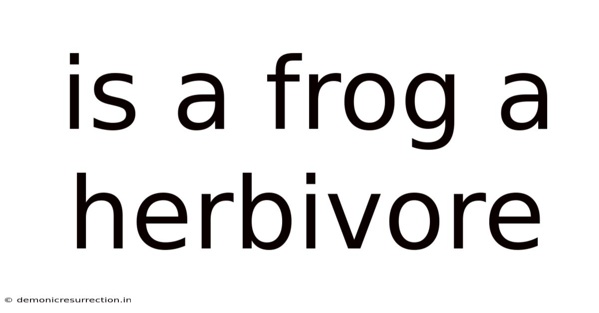 Is A Frog A Herbivore