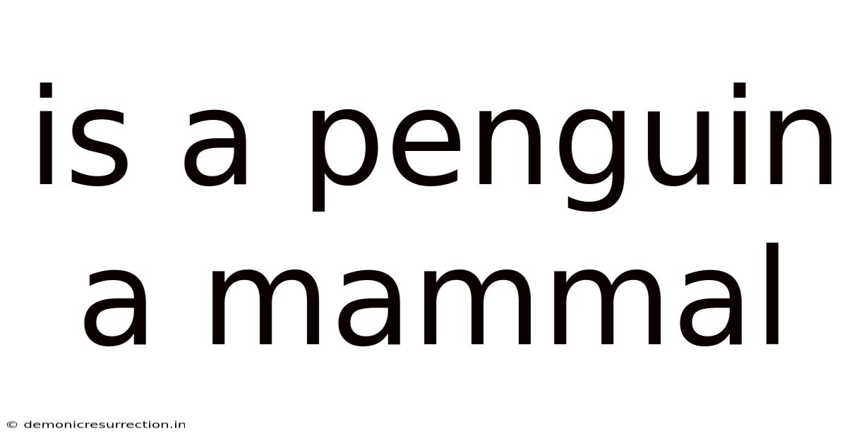 Is A Penguin A Mammal