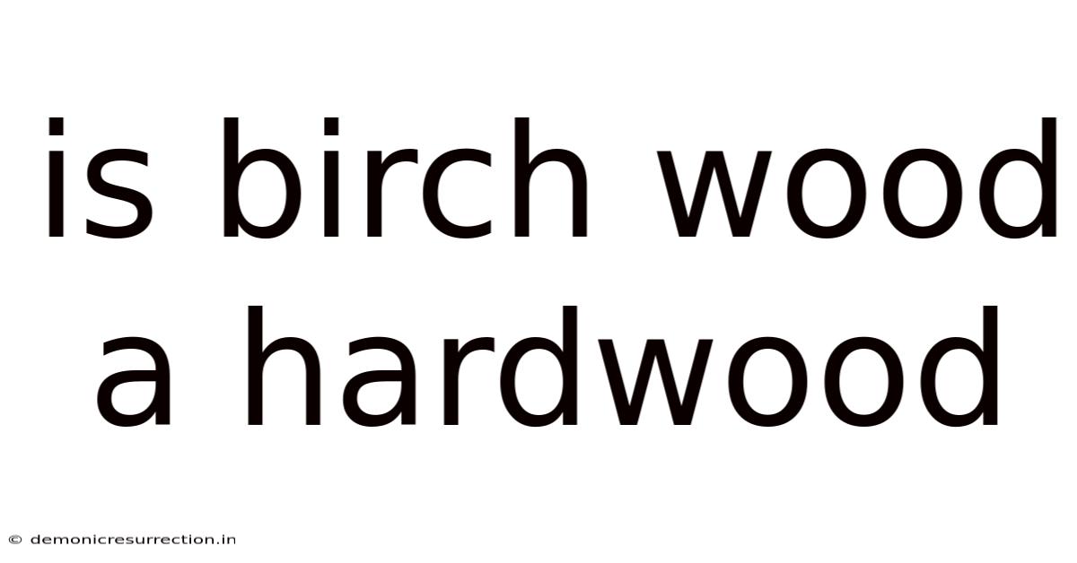 Is Birch Wood A Hardwood
