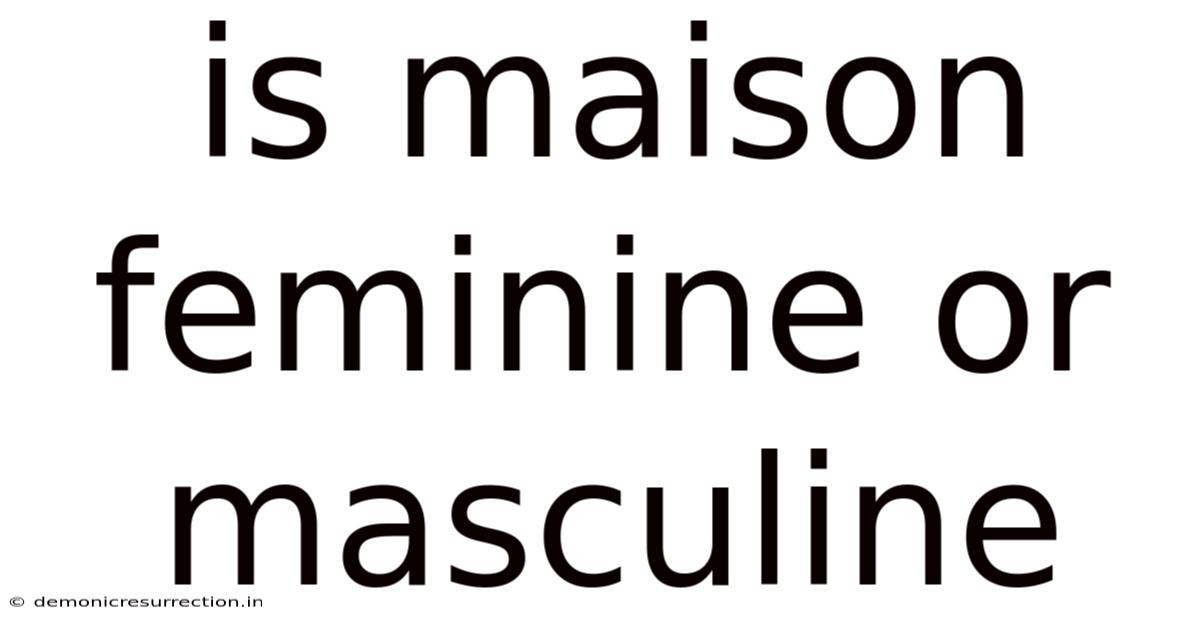 Is Maison Feminine Or Masculine