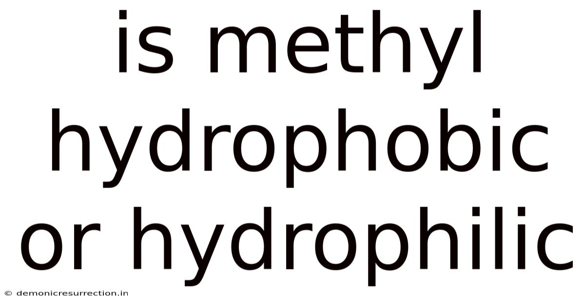 Is Methyl Hydrophobic Or Hydrophilic