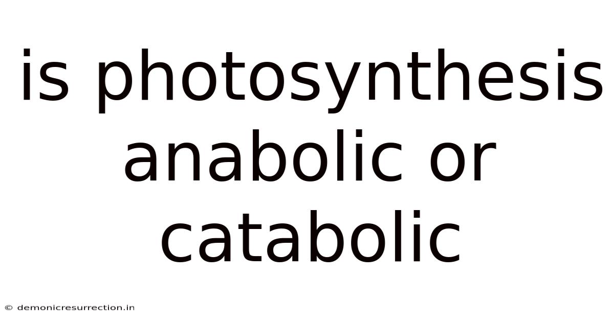 Is Photosynthesis Anabolic Or Catabolic