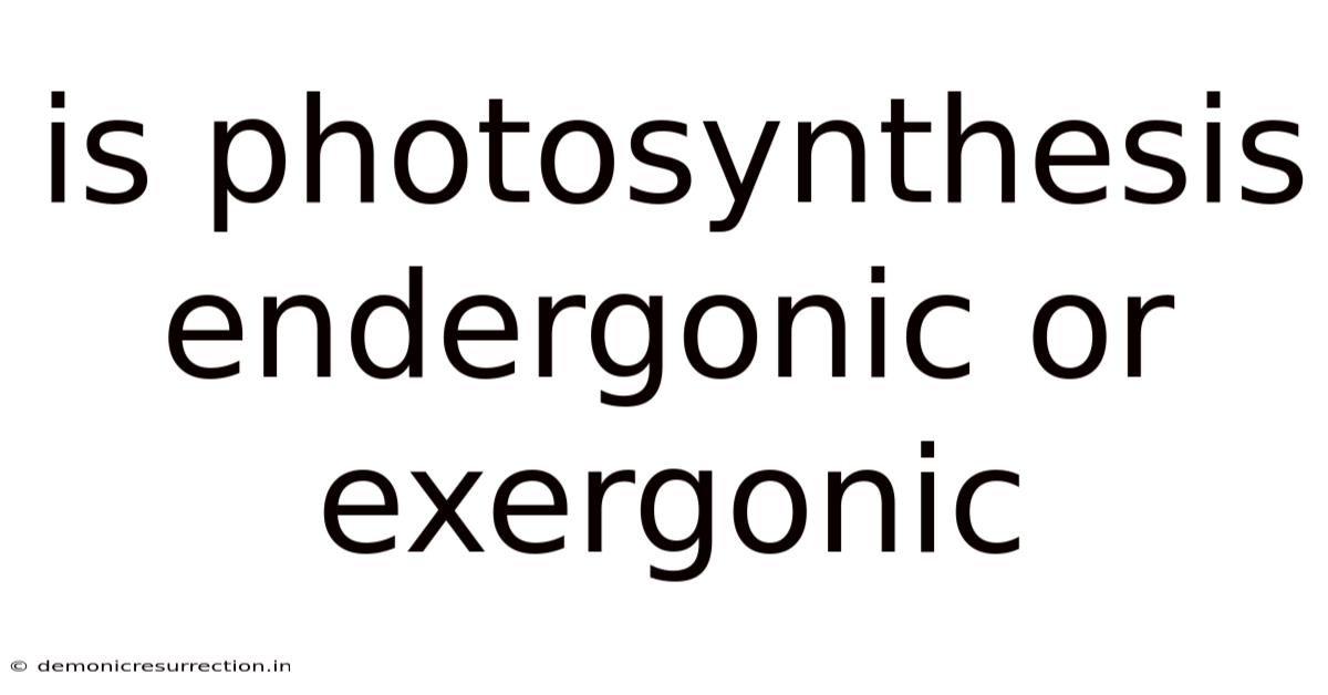 Is Photosynthesis Endergonic Or Exergonic