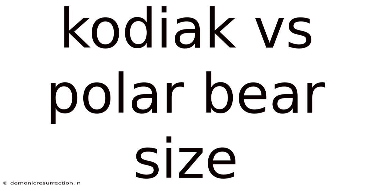 Kodiak Vs Polar Bear Size