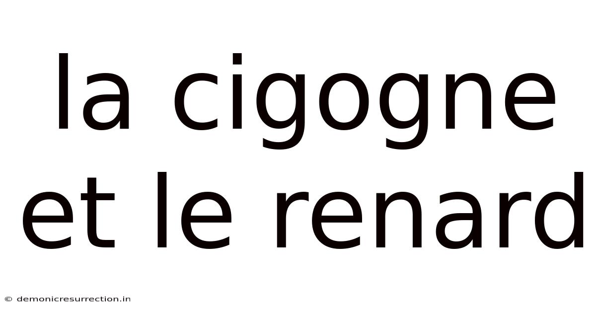 La Cigogne Et Le Renard