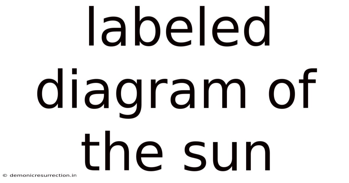 Labeled Diagram Of The Sun