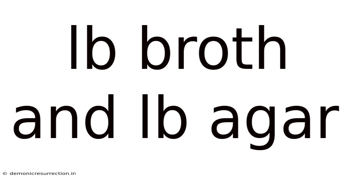 Lb Broth And Lb Agar