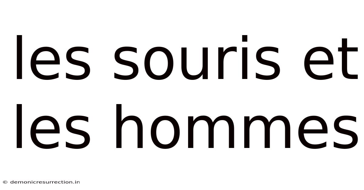 Les Souris Et Les Hommes