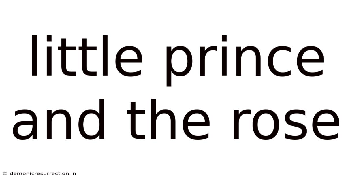 Little Prince And The Rose