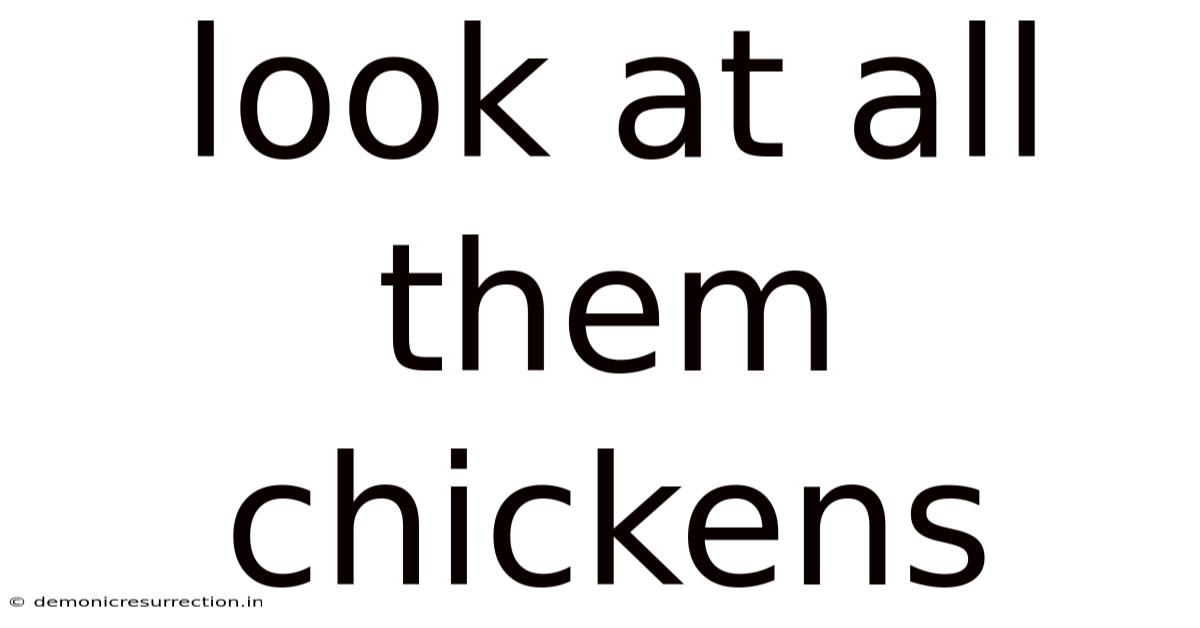 Look At All Them Chickens