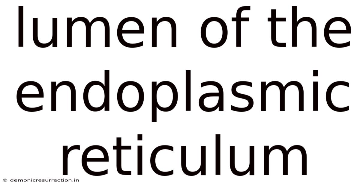Lumen Of The Endoplasmic Reticulum