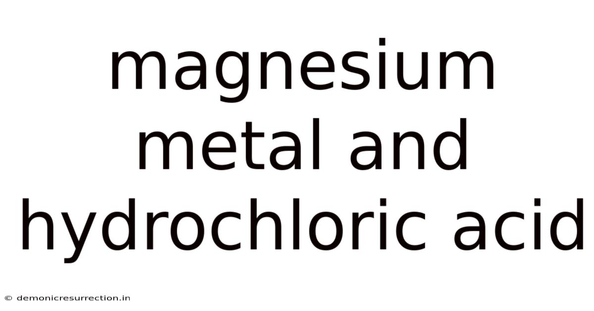 Magnesium Metal And Hydrochloric Acid