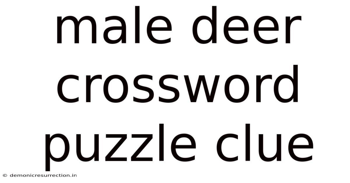Male Deer Crossword Puzzle Clue