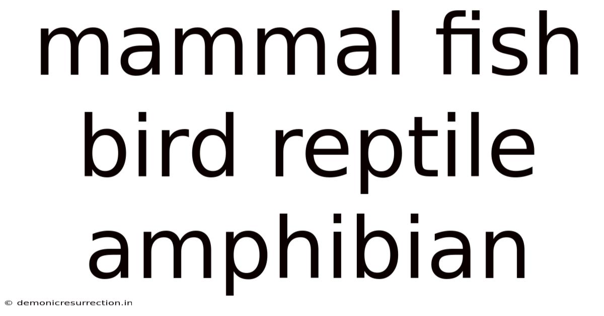 Mammal Fish Bird Reptile Amphibian
