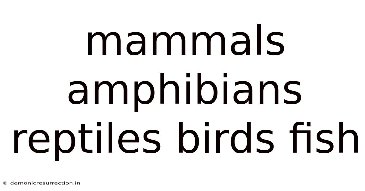 Mammals Amphibians Reptiles Birds Fish