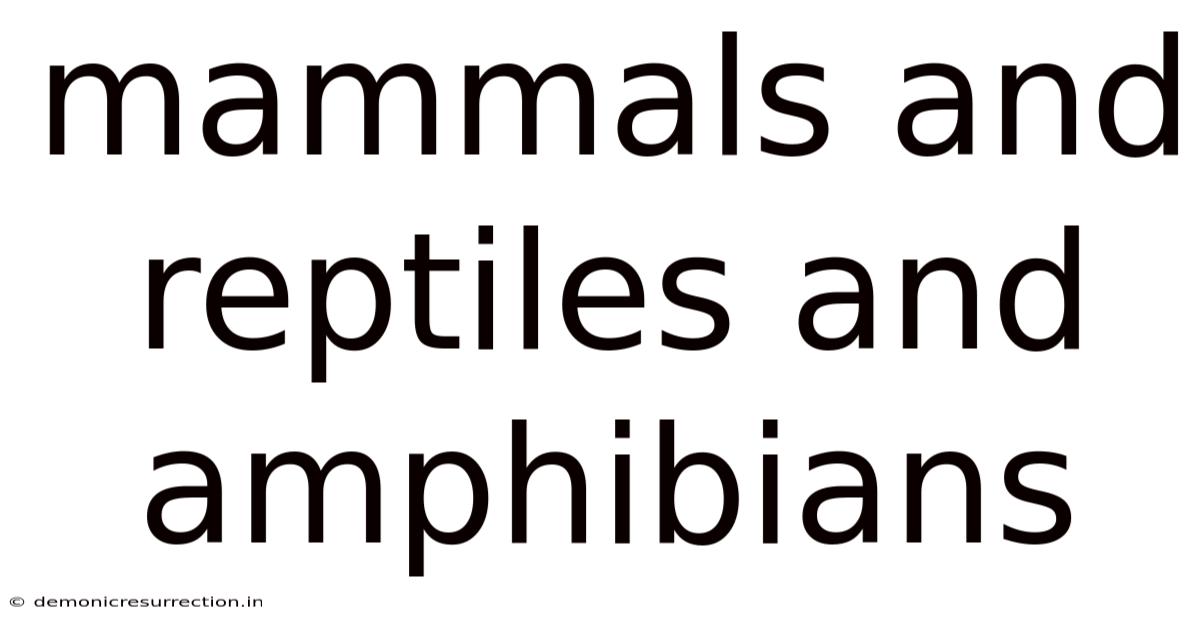 Mammals And Reptiles And Amphibians