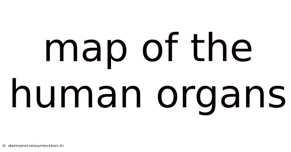 Map Of The Human Organs